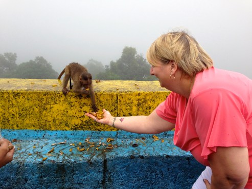 Me feeding a friendly Mumbai monkey.