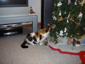 206878_1037183863330_3817_n