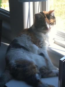 473904_3869619912461_233540649_o