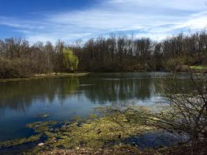 11133795_10205522784862479_7557900294502372095_n