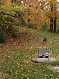 224514_4379826427305_490550096_n