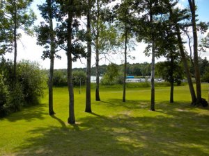 283798_2113549011786_1605517_n